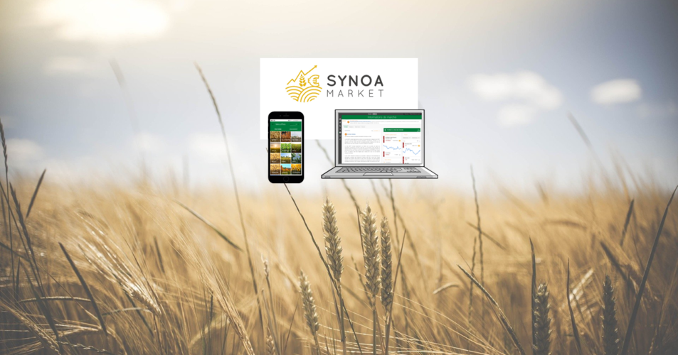 Montage photo du logo Synoa Market sur une photo d'un champ de blé