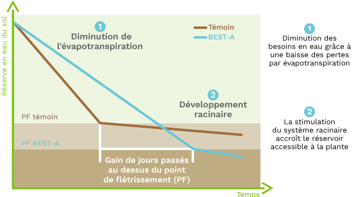 Graphique montrant les bénéfice de Best-a