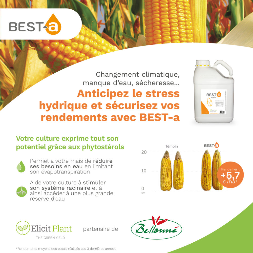 Encart Bellanné pour le produit Best-a, lutte contre le stress hydrique du maïs