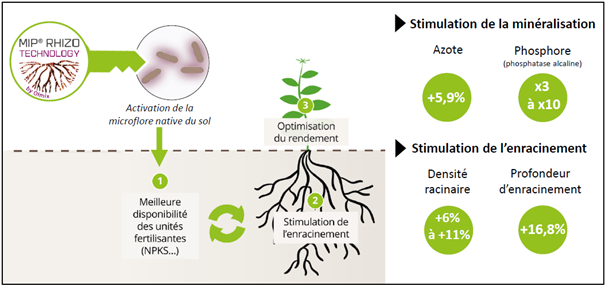 Bellmix gamme d'engrais stimulateur de nutrition