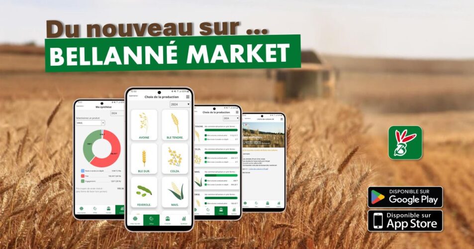 Du nouveau sur Bellanné Market